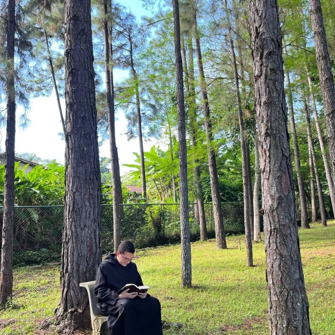 Leitura à sombra do bosque de pinheiros do terreno do mosteiro.