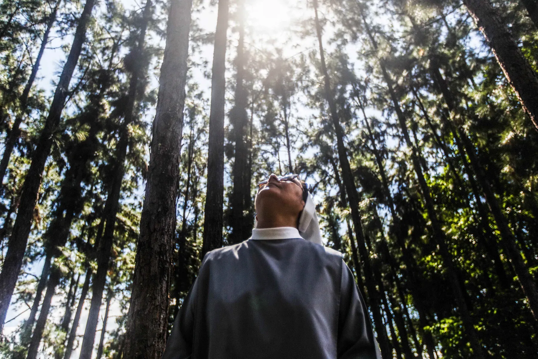 Monja em oração no bosque de pinheiros do mosteiro, em contraluz